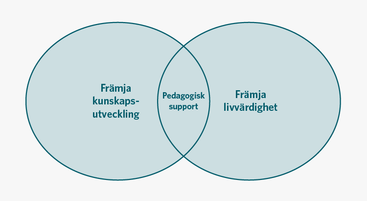 Figuren visar två cirklar med innehållet Främja kunskapsutveckling respektive Främja likvärdighet. Cirklarna går delvis ihop och ger där innehållet Pedagogisk support.