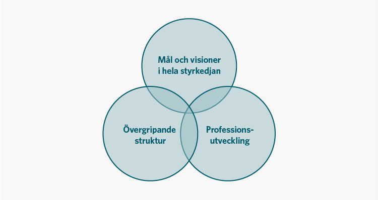 Figuren visar tre cirklar med orden Mål och visioner i hela styrkedjan, Övergripande struktur respektive Professionsutveckling. Cirklarna överlappar varandra till viss del.