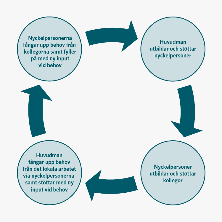 Figuren visar en cirkelformad medsols kedja för att bygga upp ett professionsdrivet arbete med närsupport. De fyra olika delarna i kedjan beskriver nyckelfunktioner.