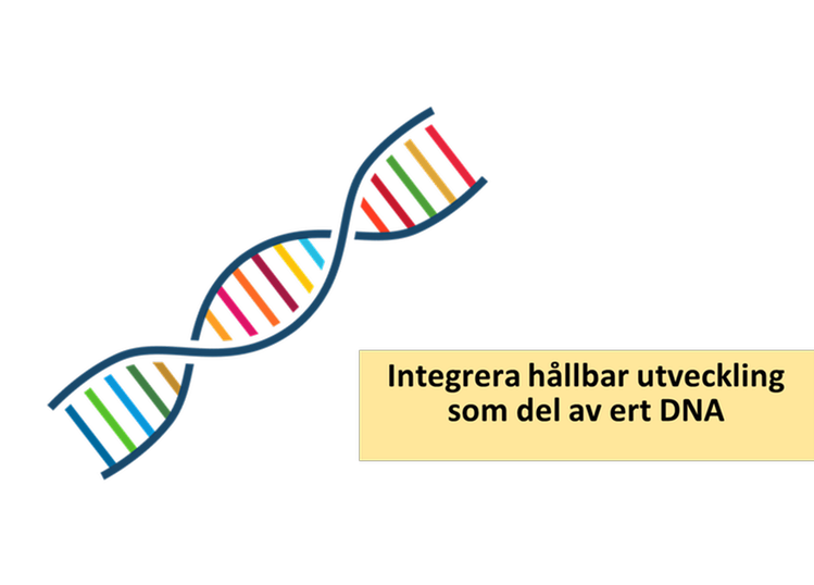Illustration av DNA med Agenda 2030-färgade linjer intill ruta med texten ”Integrera hållbar utveckling som del av ert DNA”