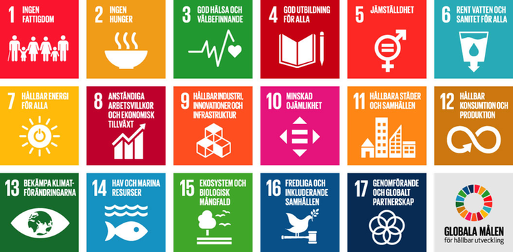 Illustration av de 17 globala målen för hållbar utveckling som finns i Agenda 2030: 1. Ingen fattigdom 2. Ingen hunger 3. God hälsa och välbefinnande 4. God utbildning för alla 5. Jämställdhet 6. Rent vatten och sanitet för alla 7. Hållbar energi för alla 8. Anständiga arbetsvillkor och ekonomisk tillväxt 9. Hållbar industri, innovationer och infrastruktur 10. Minskad ojämlikhet 11. Hållbara städer och samhällen 12. Hållbar konsumtion och produktion 13. Bekämpa klimatförändringarna 14. Hav och marina resurser 15. Ekosystem och biologisk mångfald 16. Fredliga och inkluderande samhällen 17 Genomförande och globalt partnerskap.